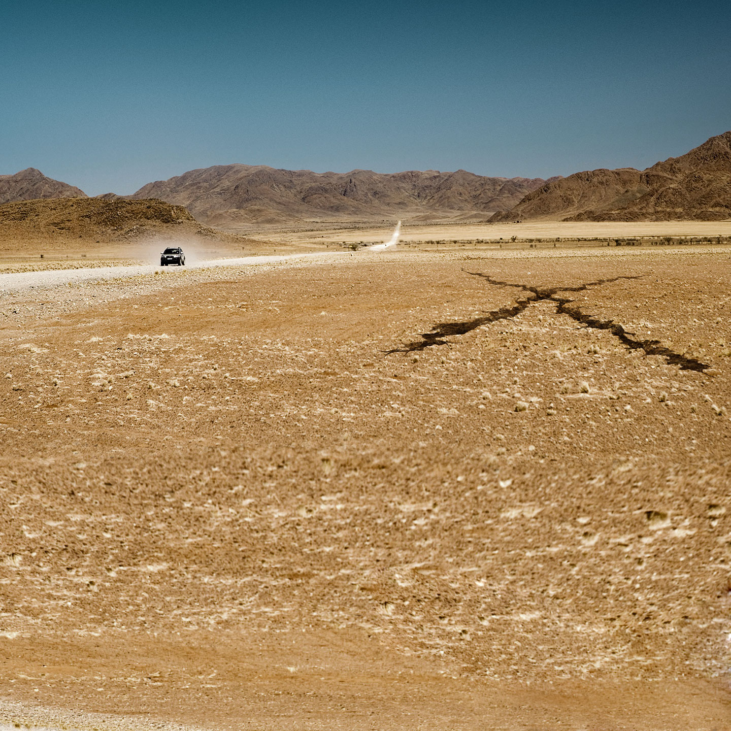 Desierto